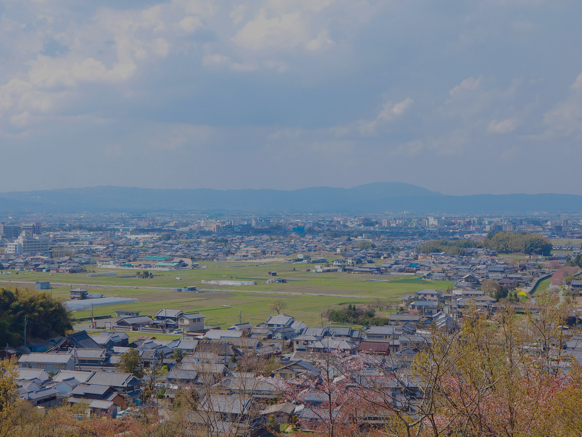 para_bg